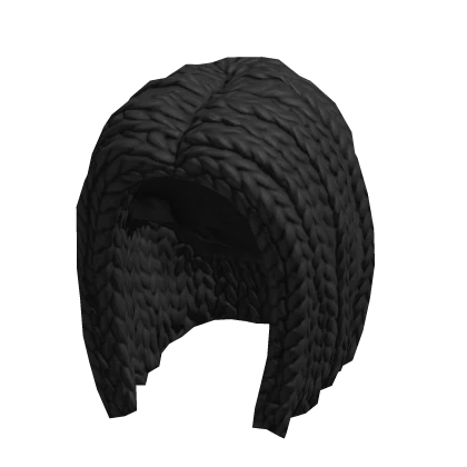 Braided Hair Black
