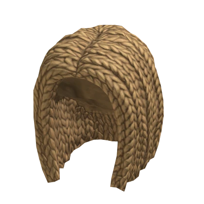 Braided Hair Blonde