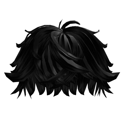 Swept Fluffy Messy Black Hair 9.0