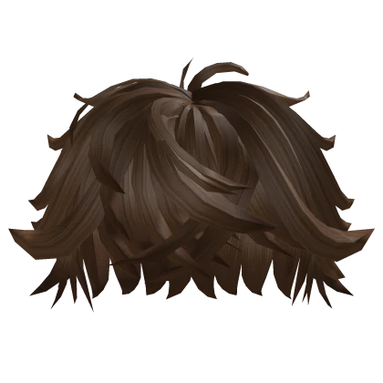 Swept Fluffy Messy Brown Hair 4.0