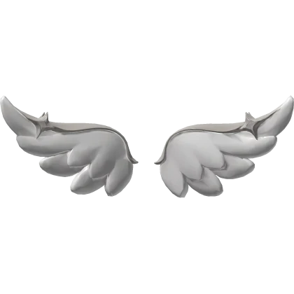 White Angel Wings with Silver Stars